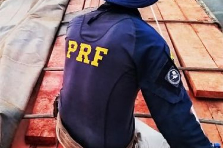 Em Rondonópolis, PRF identifica transporte irregular de madeira