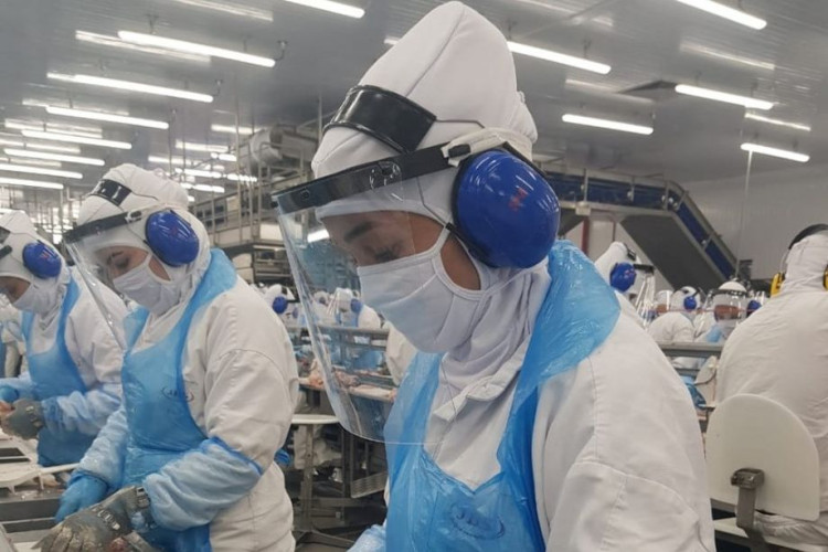Frigorífico abre 225 vagas de trabalho em Lucas do Rio Verde (MT)