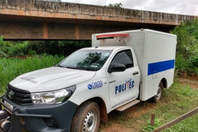 Funcionário de fazenda morre atacado por abelhas em MT