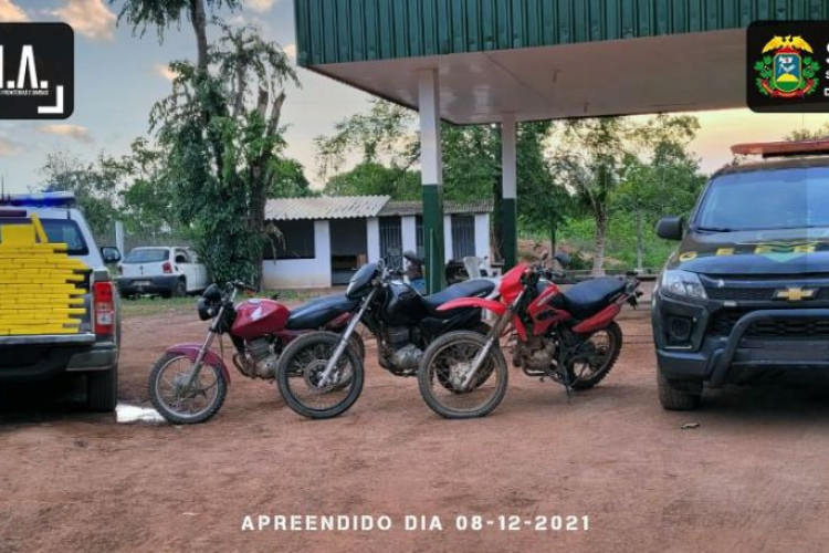 Gefron apreende grande quantidade de drogas na Estrada do Matão; prejuízo ao crime foi avaliado em R$ 2.672.750,00
