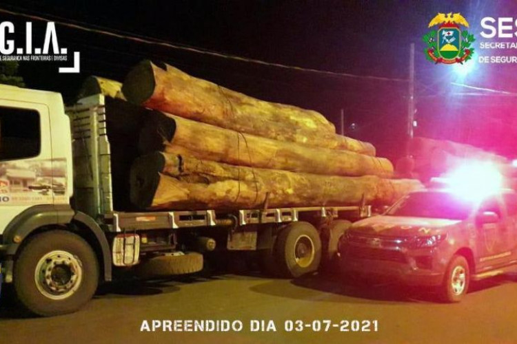 Gefron recupera veículos roubados e apreende madeira ilegal na faixa de fronteira em Pontes e Lacerda