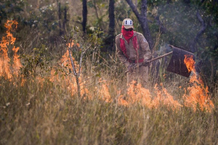 Governo de Mato Grosso lança Operação Abafa Amazônia contra crimes ambientais
