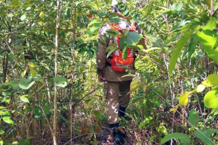 Homem é encontrado morto em buraco de mais de três metros em MT