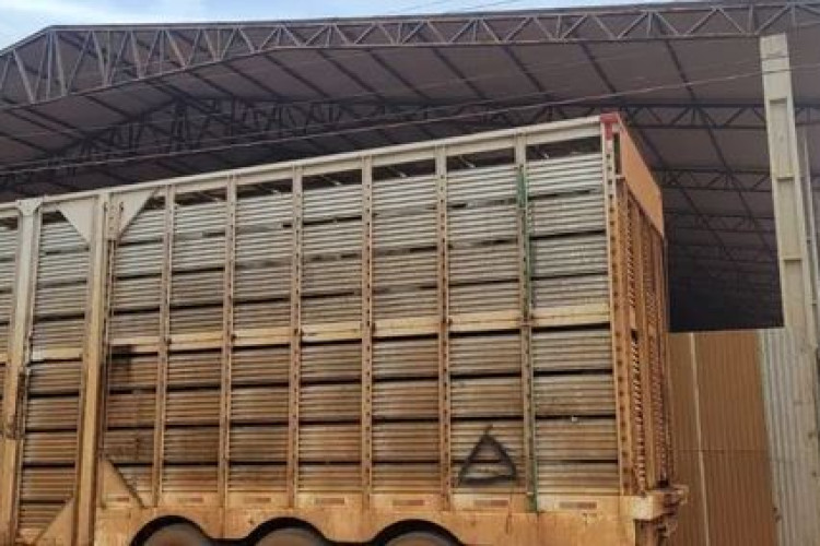 Homem morre após sofrer descarga elétrica em cima de caminhão em MT