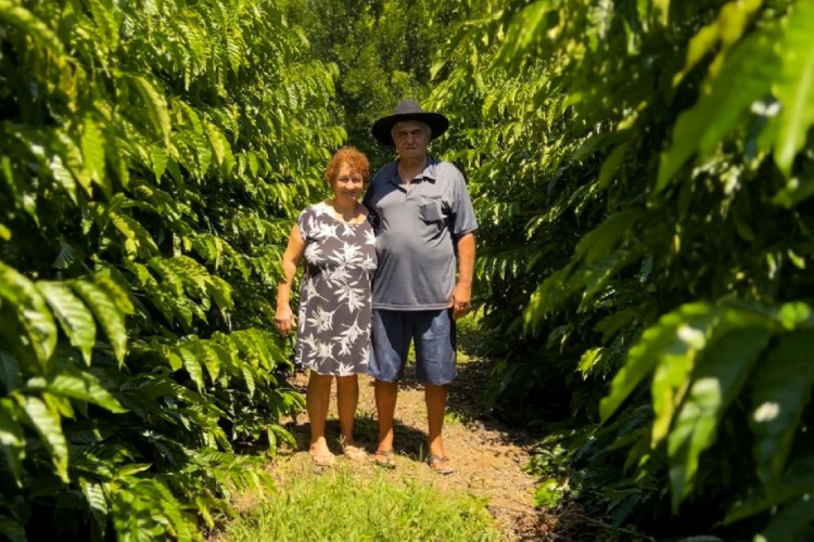 Investimento do Governo de MT impulsiona produtores de café do estado