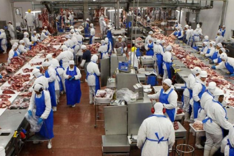 MARFRIG DIVULGA RESULTADO OPERACIONAL RECORDE E LUCRA 109 MILHÕES DE REAIS NO PRIMEIRO TRIMESTRE DE 2022