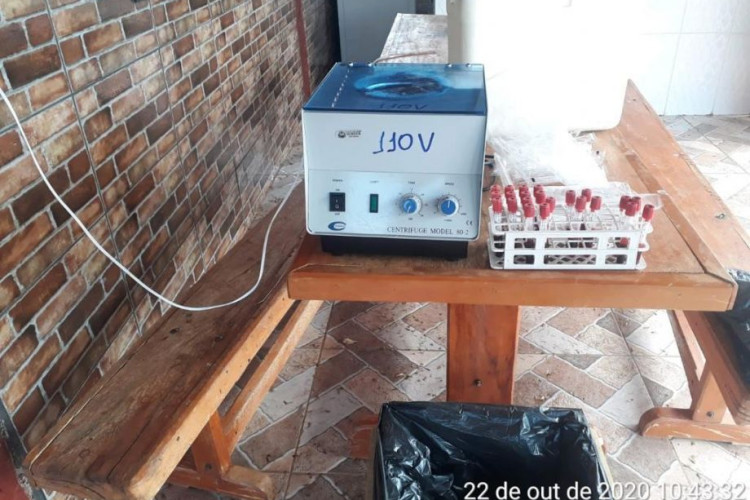 Mato Grosso é estado mais eficiente do País na vacinação contra febre aftosa