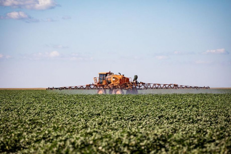 Mato Grosso tem maior taxa de crescimento de potencial de mercado do País pelo terceiro ano consecutivo