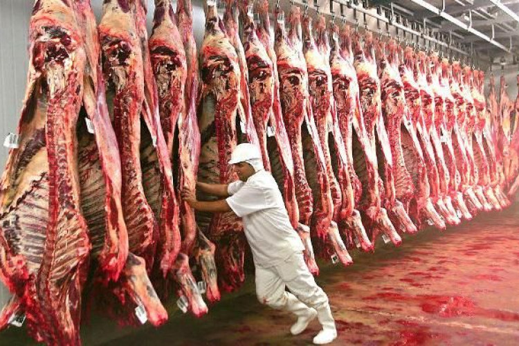 Ministério da Agricultura determina suspensão de produção de carne bovina para China