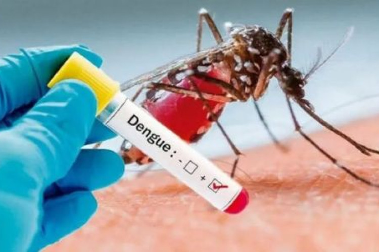 Mortes por dengue aumentaram 70% neste ano em MT