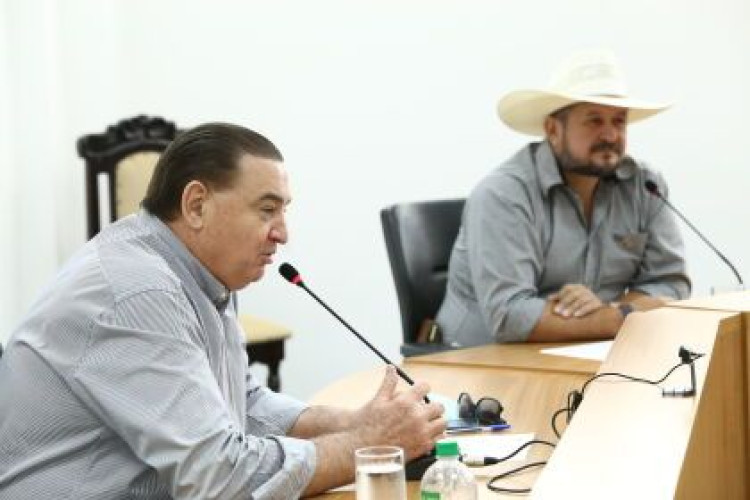 Nininho continua na presidência da Comissão de Revisão Territorial da ALMT