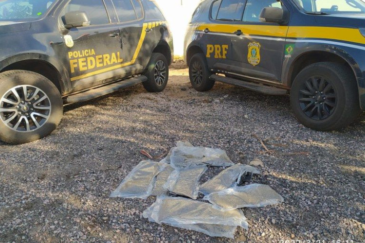 Operação integrada entre PRF e PF resulta em apreensão de Skunk