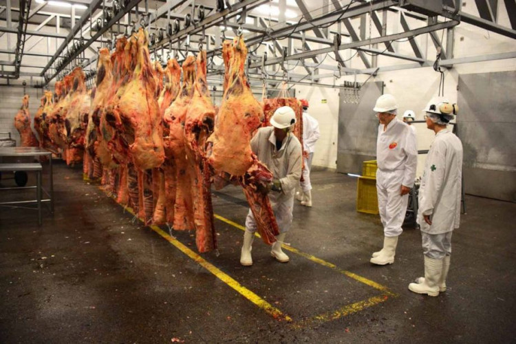 Paralisações em frigoríficos causam preocupações em produtores