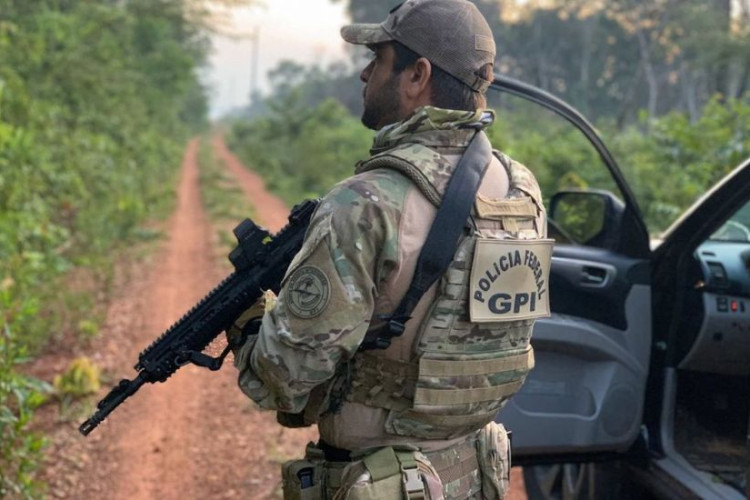 PF combate garimpo ilegal na Terra Indígena Sararé
