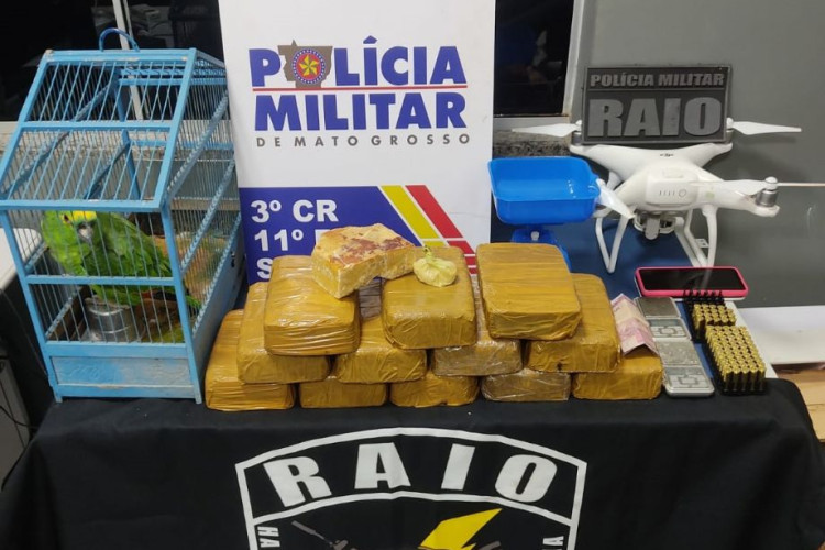 PM atende ocorrência de maus-tratos a papagaio e encontra 15 quilos de cocaína