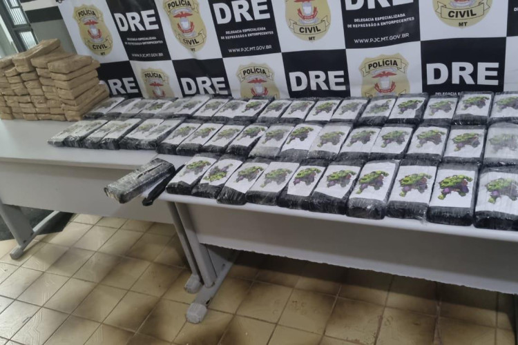 Polícia Civil apreende 100 tabletes de cocaína transportados em caminhão de carga