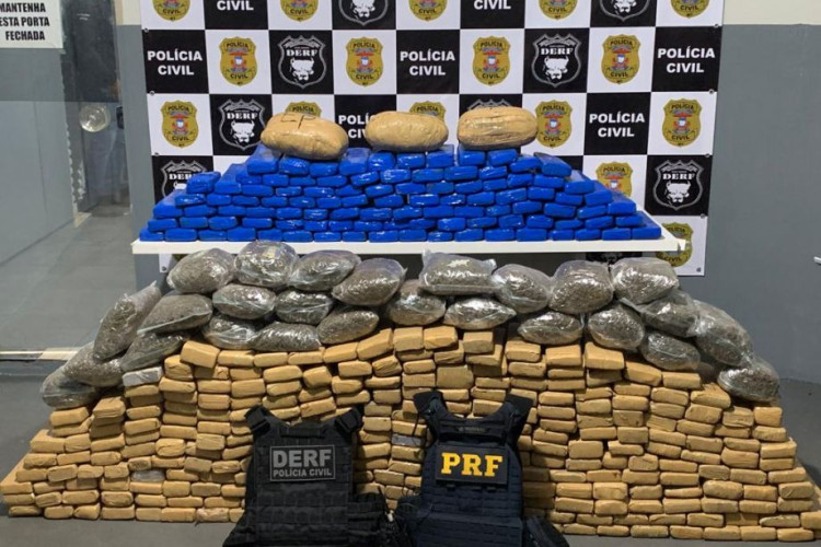 Polícia Civil apreende 398 tabletes de maconha com casal que trouxe droga de MS para Rondonópolis