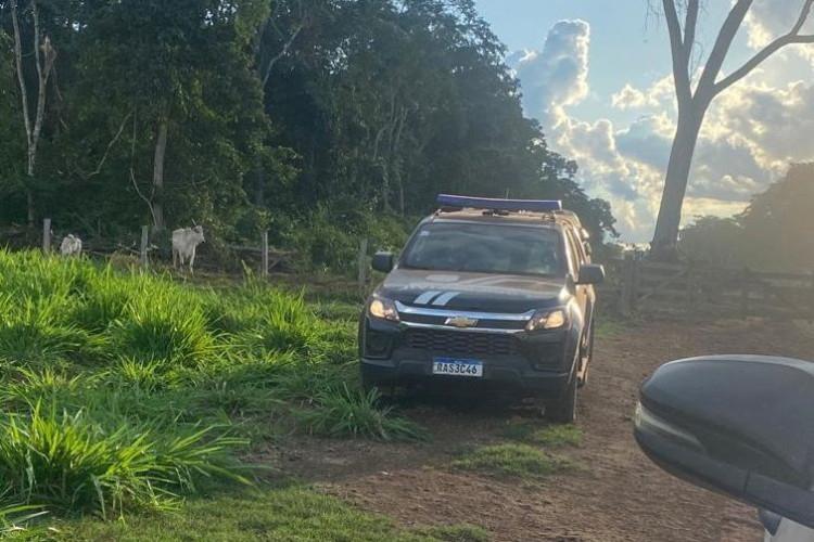 Polícia Civil cumpre buscas para identificar responsável pela decapitação de filhotes de onça-pintada