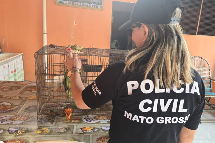 Polícia Civil deflagra nova fase da Operação Sansão para apurar denúncias de maus-tratos a animais