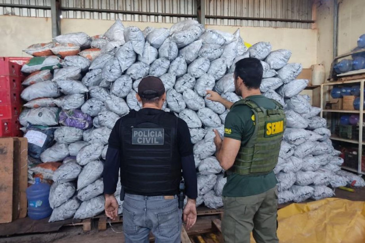 Polícia Civil e Sema deflagram operação de combate à extração ilegal de carvão em MT