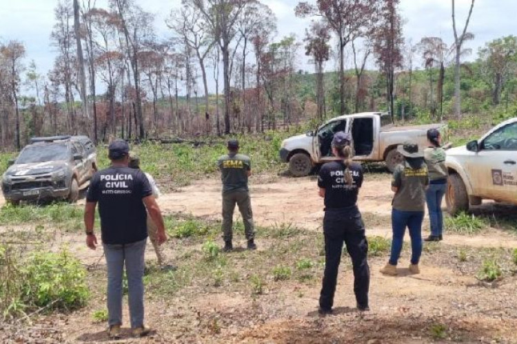 Polícia Civil e Sema intensificam o combate ao desmatamento e extração ilegal de madeira no norte do estado