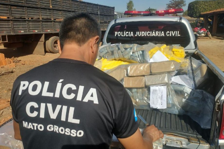 Polícia Civil incinera 400 quilos de entorpecentes apreendidos em Pontes e Lacerda