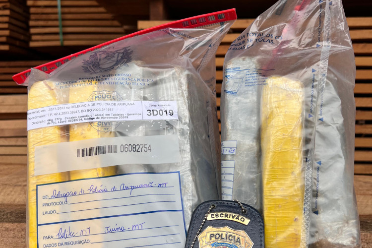 Polícia Civil incinera cerca de 40 quilos de droga em Aripuanã