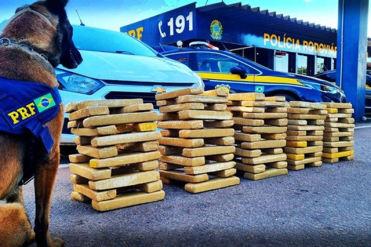 PRF apreende 113 kg de maconha em Mato Grosso