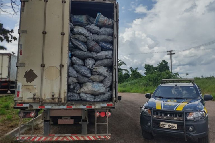 PRF apreende carga de carvão vegetal com documentação irregular em Pontes e Lacerda