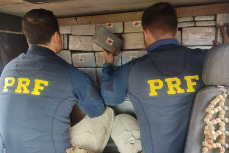 PRF apreende quase 350 quilos de cocaína avaliadas em mais de R$ 14,5 milhões; droga teria saído de Pontes e Lacerda