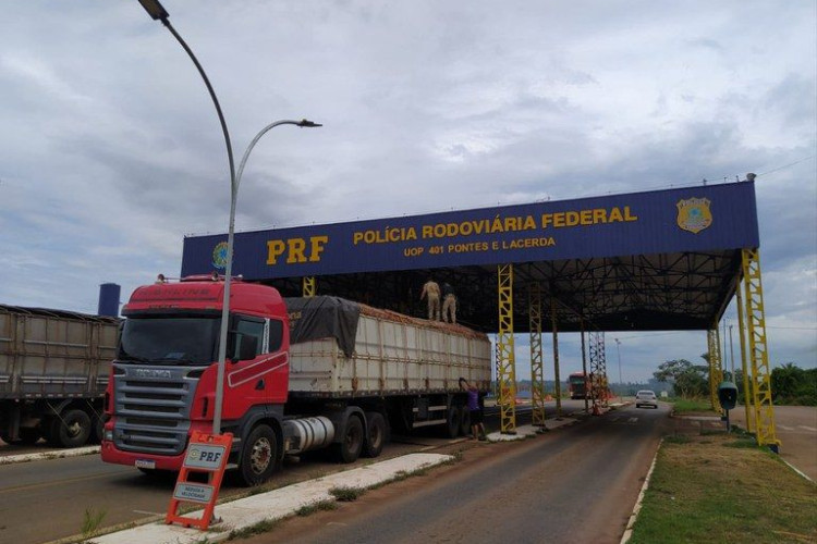 PRF realiza operações de combate aos crimes ambientais nos municípios de Comodoro e Pontes e Lacerda