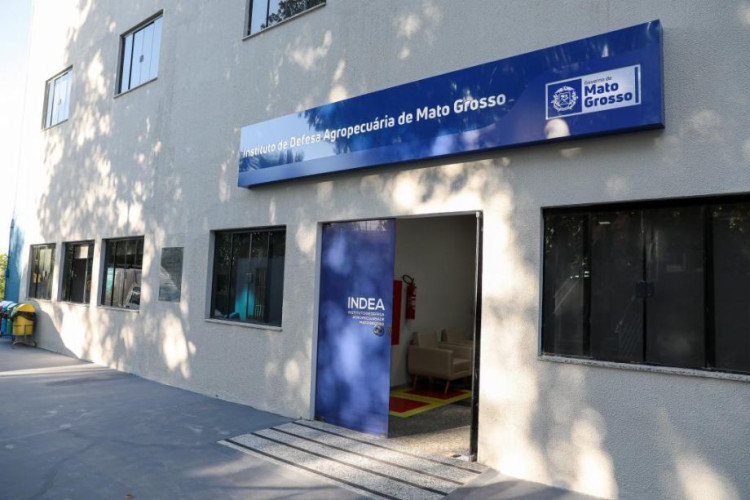 Registro da marca de fogo no Indea garante segurança e rastreabilidade