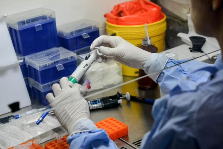 Terça-feira (25): Mato Grosso registra 397.614 casos e 10.737 óbitos por Covid-19