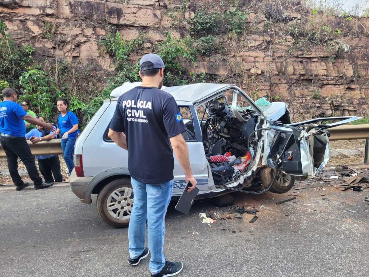 Acidente envolvendo caminhonete mata cavalo na BR-272, em Goioerê -  Umuarama News